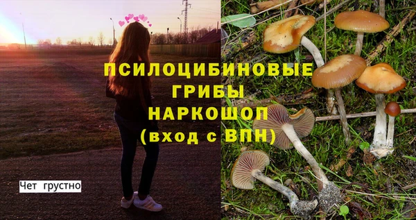 бошки Иннополис