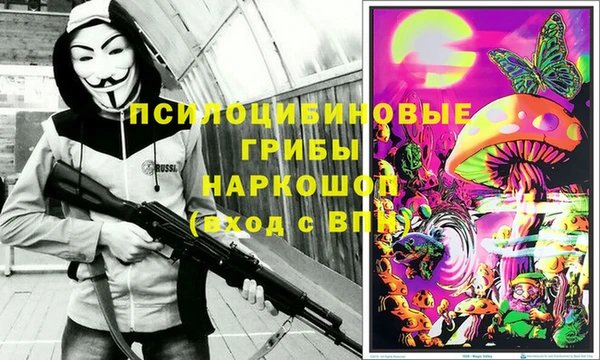 бошки Иннополис