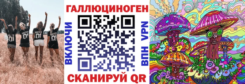 Купить где  Лермонтов  Галлюциногенные грибы Cubensis 